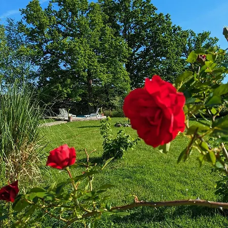 Maison d'hôtes Vacation Keskic